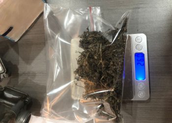 Barang Bukti Penindakan Ganja Bea Cukai Batam (hms)