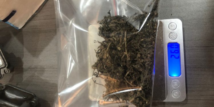 Barang Bukti Penindakan Ganja Bea Cukai Batam (hms)