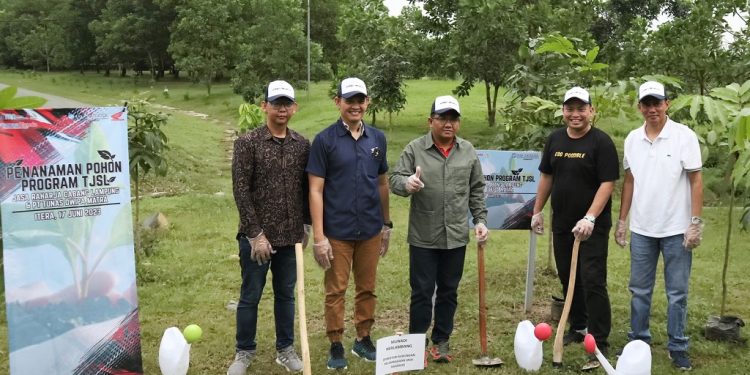 Berkontribusi Kurangi Emisi Karbon, Jasa Raharja Tanam 1.000 Pohon di Lampung