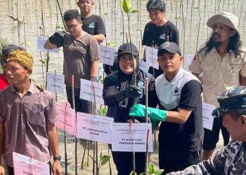 Kontribusi Jasa Raharja Kepri Dalam Pelestarian Lingkungan di Hari Lingkungan Hidup Sedunia